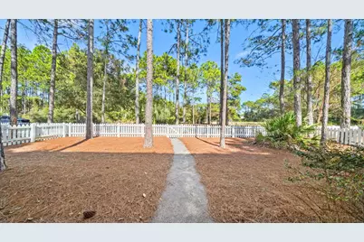 302 Jack Knife Drive, Inlet Beach, FL 32461 - Photo 5