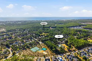 302 Jack Knife Drive, Inlet Beach, FL 32461 - Photo 47