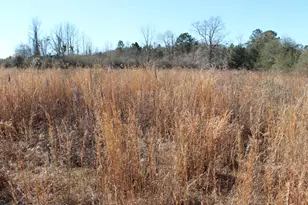 138 Schofield Rd, Defuniak Springs, FL 32433 - Photo 23