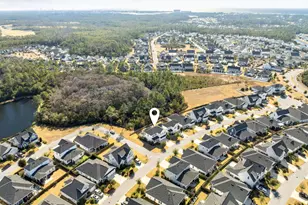 75 Conifer Ct, Inlet Beach, FL 32461 - Photo 3