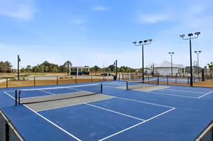 64 Grass Owl Loop, Freeport, FL 32439 - Photo 45