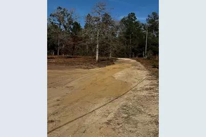 3842 Bear Head Road, Crestview, FL 32539 - Photo 3