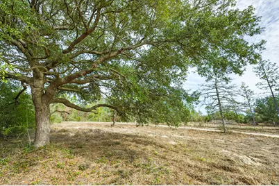 3842 Bear Head Road, Crestview, FL 32539 - Photo 9