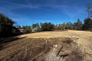 3842 Bear Head Rd, Crestview, FL 32539 - Photo 1