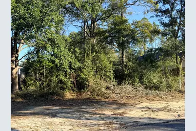 Lot 34 Caswell Branch Road, Freeport, FL 32439 - Photo 1