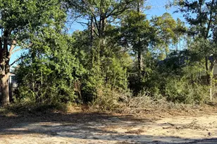 Lot 34 Caswell Branch Rd, Freeport, FL 32439 - Photo 1