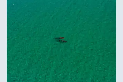 1303 Laurel Way, Miramar Beach, FL 32550 - Photo 77