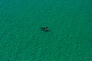 1303 Laurel Way, Miramar Beach, FL 32550 - Photo 77