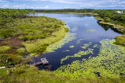 Lot 10 W Village Beach Road W, Santa Rosa Beach, FL 32459 - Photo 51