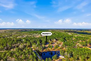 149 Pine Hill Dr, Defuniak Springs, FL 32435 - Photo 33