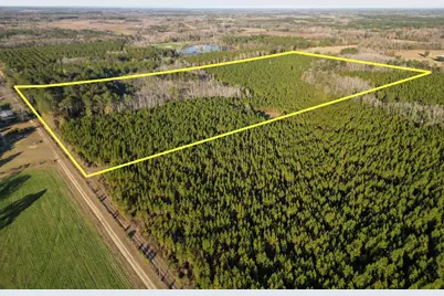 Tbd S County Road 65 S, Bonifay, FL 32425 - Photo 5