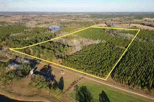 Tbd S County Road 65 S, Bonifay, FL 32425 - Photo 1