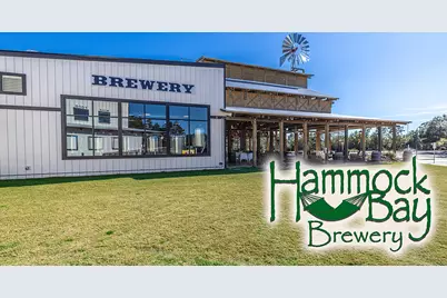 132 E Tweet Street E, Freeport, FL 32439 - Photo 69