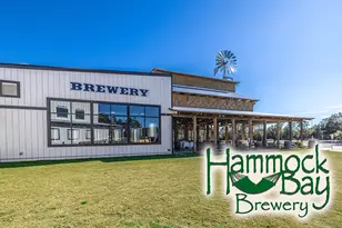 132 E Tweet Street E, Freeport, FL 32439 - Photo 69