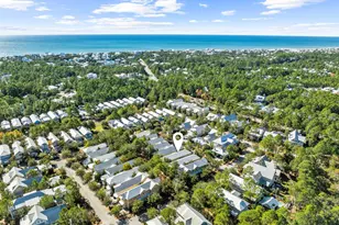 17 Red Basil Drive, Santa Rosa Beach, FL 32459 - Photo 57