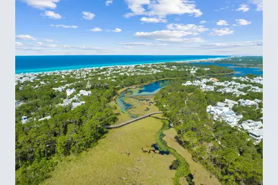 17 Red Basil Drive, Santa Rosa Beach, FL 32459 - Photo 47