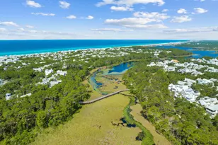 17 Red Basil Drive, Santa Rosa Beach, FL 32459 - Photo 47