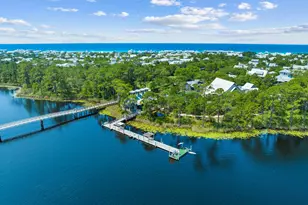 17 Red Basil Drive, Santa Rosa Beach, FL 32459 - Photo 49