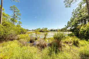 108 Woodward Dr, Santa Rosa Beach, FL 32459 - Photo 57