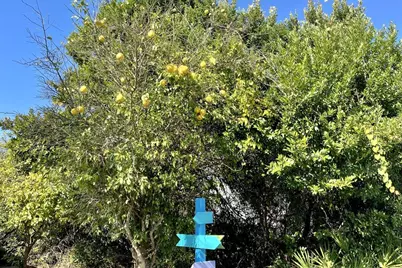 182 Cathy Place, Panama City Beach, FL 32413 - Photo 39