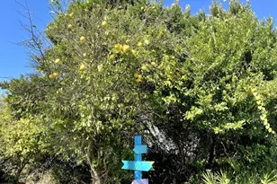 182 Cathy Pl, Panama City Beach, FL 32413 - Photo 39