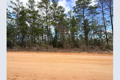 Lot 2 E Violet East Lane E, Defuniak Springs, FL 32433 - Photo 1