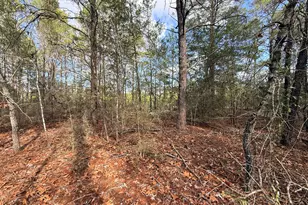 Lot 2 Blk 8 On E Violet Ln, Defuniak Springs, FL 32433 - Photo 5