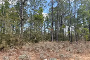 Lot 2 Blk 8 On E Violet Ln, Defuniak Springs, FL 32433 - Photo 7