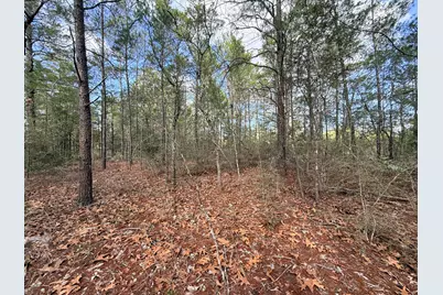 Lot 2 E Violet East Lane E, Defuniak Springs, FL 32433 - Photo 3