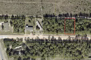 Lot 2 Blk 8 On E Violet Ln, Defuniak Springs, FL 32433 - Photo 9