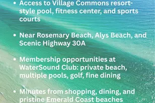 289 Catface Dr, Inlet Beach, FL 32461 - Photo 47