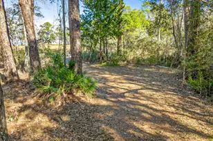 56 E Shallows Dr E, Santa Rosa Beach, FL 32459 - Photo 47