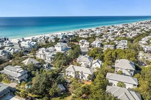 392 Walton Rose Ln, Inlet Beach, FL 32461 - Photo 77