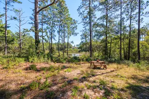 389 Quail Ridge Rd, Defuniak Springs, FL 32435 - Photo 41