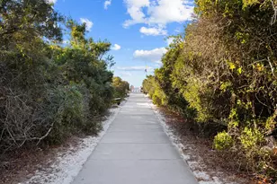 311 Walton Rose Ln, Inlet Beach, FL 32461 - Photo 89