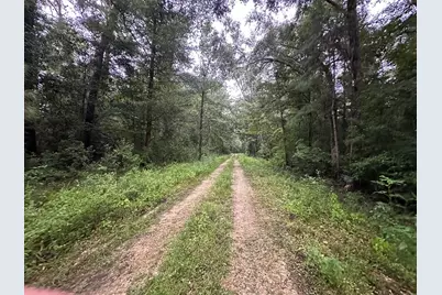 210 Riverside Circle, Wewahitchka, FL 32465 - Photo 3