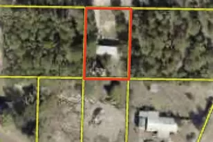 61 Juniper Ave, Defuniak Springs, FL 32433 - Photo 3