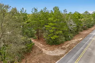 610 Spring Hill Rd, Defuniak Springs, FL 32433 - Photo 3