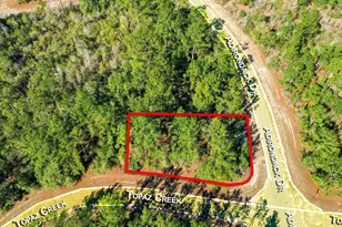 Lot 13 Adirondack Dr, Chipley, FL 32428 - Photo 1