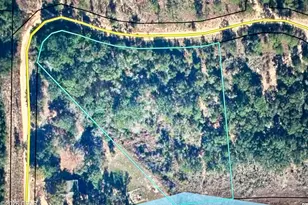 Lot 40 Grassy Pond Rd, Chipley, FL 32428 - Photo 1