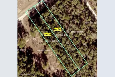 20820 Highway 231, Fountain, FL 32438 - Photo 3