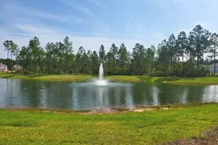 [Address not provided], Santa Rosa Beach, FL 32459 - Photo 31