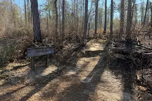 9866 Red Rock Rd, Milton, FL 32570 - Photo 43