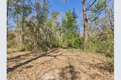 9866 Red Rock Road, Milton, FL 32570 - Photo 41