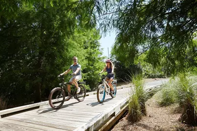 309 Jack Knife Drive Drive, Inlet Beach, FL 32461 - Photo 43