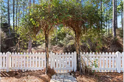 309 Jack Knife Drive Drive, Inlet Beach, FL 32461 - Photo 33