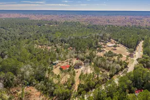 4398 Wilkerson Bluff Rd, Holt, FL 32564 - Photo 97