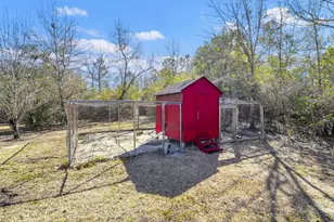 4398 Wilkerson Bluff Rd, Holt, FL 32564 - Photo 81