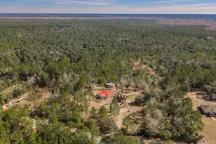 4398 Wilkerson Bluff Rd, Holt, FL 32564 - Photo 99