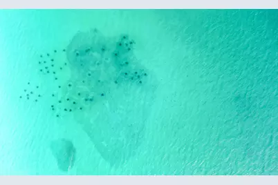 50 Jessica Court, Freeport, FL 32439 - Photo 41